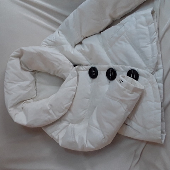 Jacket - Picture 1 of 3